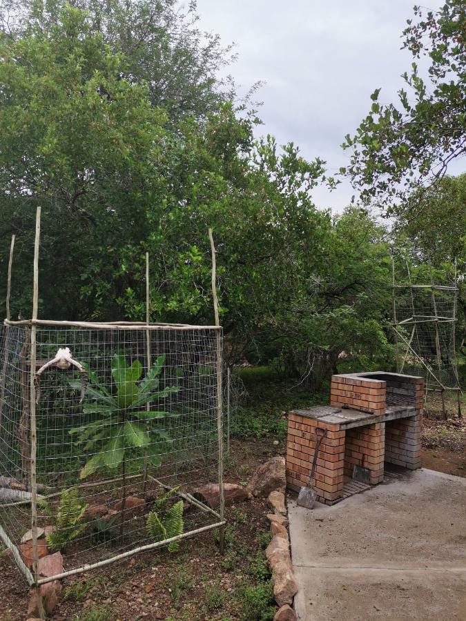 Buffalo Marloth Park Exterior photo